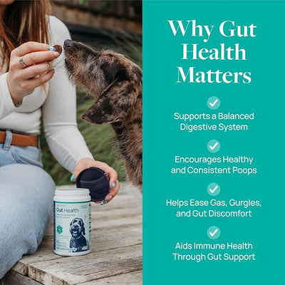 Veterinary Formula Gut Health Supplement for Dogs – Vet-Formulated Probiotic Chews with Digestive Enzymes & Fiber – Smart Vitality Support Digestive Health, Gut Balance & Stool Quality, 120 Soft Chews