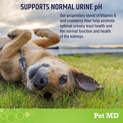 Pet MD Lawn Aid Chews - No More Yellow Spots Dog Urine Neutralizer for Lawn - pH-Balancing Helps Prevent Dog Pee from Killing Grass - Enhanced with Digestive Probiotics for Dogs & Puppies - 120 ct