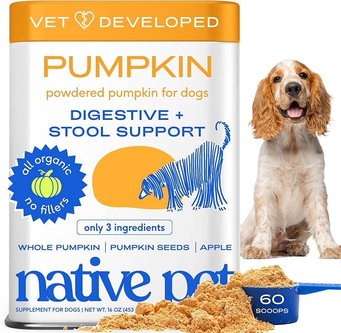 Native Pet Pumpkin for Dogs - Organic Dog Food Topper Powder - Promotes Firm Stools, Supports Digestive, Bowel Health & Nutrient Absorption - USDA Organic, Rich in Fiber with Real Pumpkin - 60 Scoops