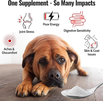 Pure MSM for Dogs & Cats | 99.9% Pure MSM Crystals | Organic Sulfur for Joint Support, Mobility, Skin & Coat | 100% Additive-Free | 7 oz / 210 g Bag