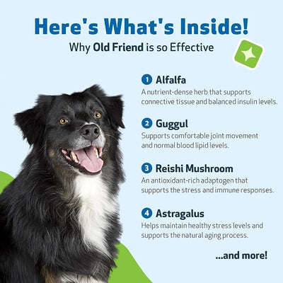 Pet Wellbeing Old Friend for Senior Dogs & Cats- Supports Immune System Health, Joint Mobility, Healthy Energy Levels, Alfalfa, Reishi - Veterinarian-Formulated Herbal Supplement 4 oz (118 ml)