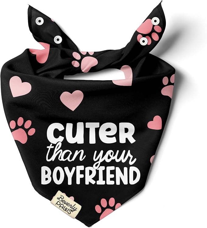Funny Snap-On Dog Bandana for Small Medium Large Pets, Dogs Cats Adjustable Handkerchief Scarf for Girl & Boy, Cute Puppy Apparel & Accessories (Cuter Than Your BF, Medium)
