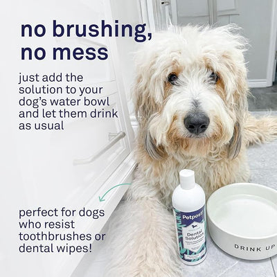 Petpost | Dental Solution for Dogs - Water Additive that Eliminates Bad Breath - Dirt, Gunk, and Tooth Buildup Gone - Natural Tooth Cleaning Solution 16 oz.