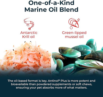 Antinol Plus, Mobility, Hip, and Joint Supplement for Dogs, Green-Lipped Mussels and Krill Oil - Dog Joint Supplement, Better and Faster Than Glucosamine and Chondroitin, 180 Soft Gels