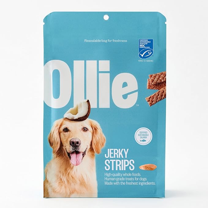 Salmon and Coconut Jerky Dog Treats, All Natural, Healthy Snacks, Made with Real Meat 5 Oz. Human Grade, Pack of 1, for Dogs