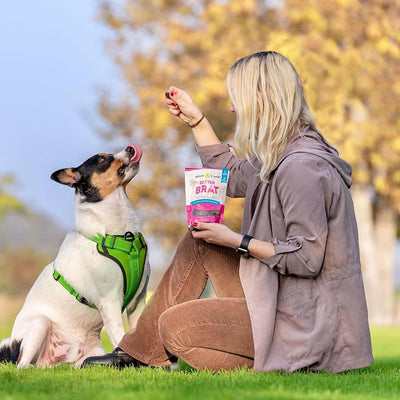 Plant-Based Dog Training Treats (6oz) - Low-Calorie, Soft Chew, Healthy Dog Treats - Clean-Label, Sustainable Ingredients - Adult Pet & Puppy Essentials - USA Made (Better Brat)