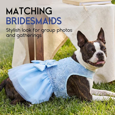 ASENKU Dog Dress Pet Wedding Dress Princess Lace Puppy Birthday Party Outfit Formal Apparel Girl for Small Medium Dogs Cats (Large, Blue)