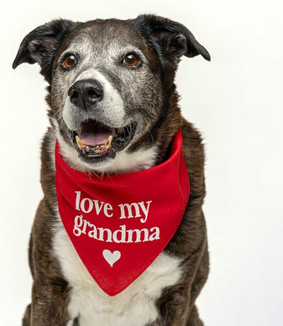 Love My Grandma Mother's Day, Valentine's Day Dog Bandana (Red Scrunch, OS 399)