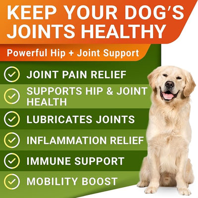 STRELLALAB Hemp Chews for Dogs - Hip & Joint Supplement with Glucosamine - Joint Pain Relief Treats - Omega 3, Chondroitin, MSM - Advanced Mobility Support - Bacon Flavor - 120 Ct - Made in USA