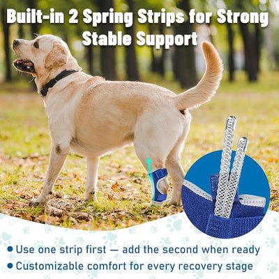 Dog Leg Braces for Back & Front Legs- Dog Hock & Ankle Joint Brace for Weak Back Legs with 2 Metal Strips, Reflective Trim for Sprain, Injury, Arthritis, Wound Recovery,Blue,S
