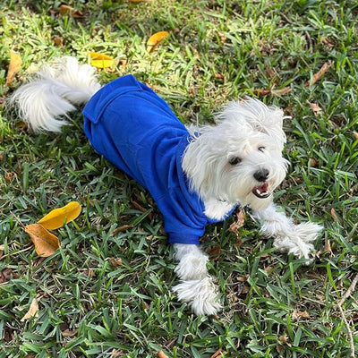 Jecikelon Soft Dog Hoodies for Small Dogs, Fleece Puppy Sweatshirt with Pockets, Warm Winter Cold Weather Coats for Pet Cat, Cute Clothes Puppy Costume (Dark Blue, Medium)