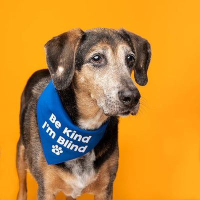 Be Kind I'm Blind Dog Bandana | 100% Adjustable Cotton Triangle | Made in USA | Blind | Impaired | Vision Loss Accessory | Warning | Lime Green, One Size (352)