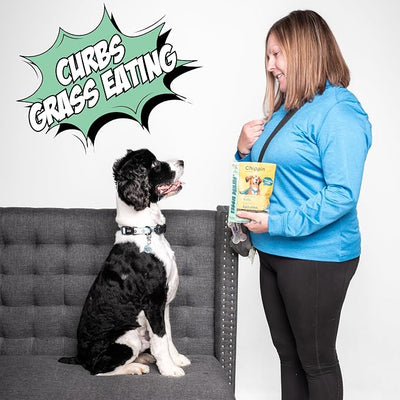 Chippin Healthy Dog Treats, All Natural Crunchy Biscuits with Real Spirulina, Kale, Oats, No Meat, Hypoallergenic, Vegan Treats for Puppy, Small, Large Dogs, 2 Pack