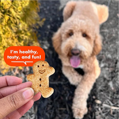 Buddy Biscuits Crunchy Medium Dog Treats, Peanut Butter, 20 oz. Jar (Pack of 2)