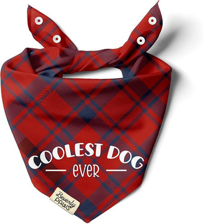 Funny Snap-On Dog Bandana for Small Medium Large Pets, Dogs Cats Adjustable Handkerchief Scarf for Girl & Boy, Cute Puppy Apparel & Accessories (Coolest Dog Ever, Medium)