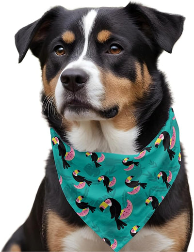 W Brings Bandana for Dogs | This Stunning Gorgeous Design Dog Bandana Scarf is Perfect Styling Accessory for Dogs Large, Medium & Small. One Size Fits All. (Medium - Large, Toucan Watermelon)
