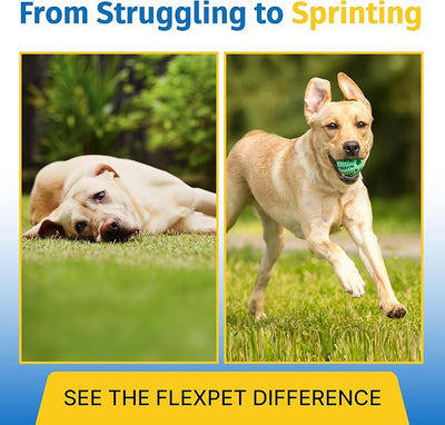 Hip & Joint Supplement for Dogs & Cats with Cetyl Myristoleate, Glucosamine, Collagen, MSM - Max Strength Joint Support for Mobility, Senior Pets, Large Breeds - Trial Pack (Bacon/Cheese)