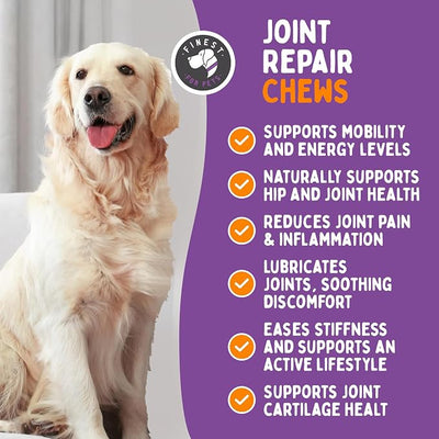 Joint Repair Dog Hip and Joint Supplement with Glucosamine, Chondroitin, Omega 3, MSM & Turmeric. Supports Hip & Joint Health, Mobility & Cartilage Development. 120 Chicken Flavor Chews, Made in USA