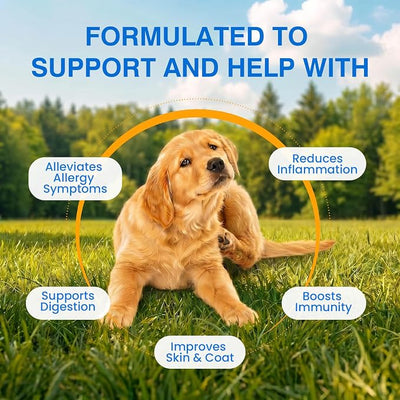 Allergy Relief Chews for Dogs Plasma-Powered Soft Chews for Dogs Natural Blood Protein Support Anti-Itch Paw Licking & Hot Spots Skin and Coat Allergies Seasonal Allergies Grain-Free 200 Chews