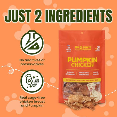 Gourmet Jerky Dog Treats -Made in USA only, Cage-Free, No Additives (Pumpkin Chicken 12 oz)
