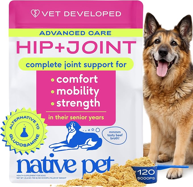 Hip & Joint Advanced Care Dog Joint Supplement Powder for Mobility & Movement Support, Joint Supplement for Dogs with HMB, UC-II Collagen, Green Lipped Mussel & Hyaluronic Acid – 120 Scoops
