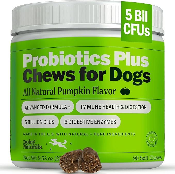 Probiotics Plus Chews for Dogs - Gut Health Supplement with 5 Billion CFU's & Digestive Enzymes - Prebiotics for Dog Allergies, Diarrhea & Yeast - 90 Count Pumpkin Flavor Made in USA