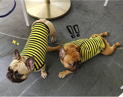 iChoue French Bulldog 100% Breathable Cotton Striped T Shirts Halloween Vest Clothes for Medium Dogs Tank Tops Frenchie Pug English Boston Terrier Pitbull Yellow Black Stripes - Large