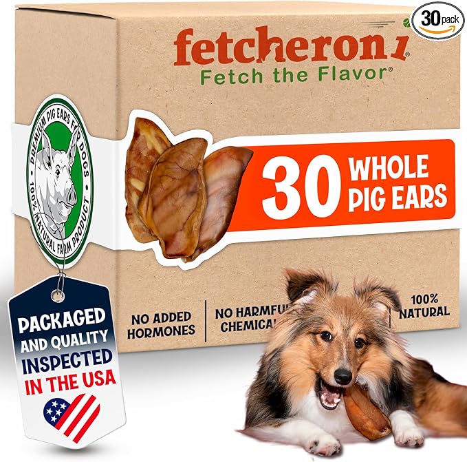 FETCHERONI Whole Pig Ears for Dogs Large - 30 Pack Long Lasting Dog Chews – One Ingredient Delicious All Natural Flavor – Easy to Digest Dog Treats for Large Dogs - Great for Teeth and Gums