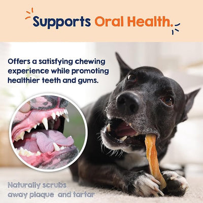 Riley's Beef Tendon Strips - Single Ingredient & Low Odor Beef Tendons for Dogs - Tendon Chews for Dogs Promotes Dental Health - All Natural Dog Treat for Small & Medium Breeds (4-6 inch, 12 Sticks)