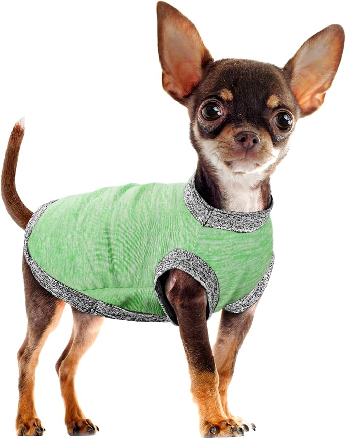 Chic Ion Polyester Dog Vest: Adorable Fashion Apparel for Small, Medium, and Large Breeds - Moisture-Wicking, Soft, Anti-Static, Durable, Easy-to-Clean Shirt - Green S