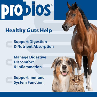 Probios Digestive Support Probiotic for Dogs, Horses, Cats, Gut Health Powder for All Species, Daily Supplement for Digestion Immune Support, 5lbs (Pack of 2)