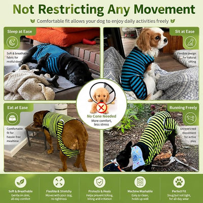 2 Packs Breathable Cotton Dog Recovery Suit for After Neuter Spay Abdominal Wounds Protector, Professional Anti-Licking Onesies for Male Female Pets Surgery Bandages, L Blue & Green Stripes