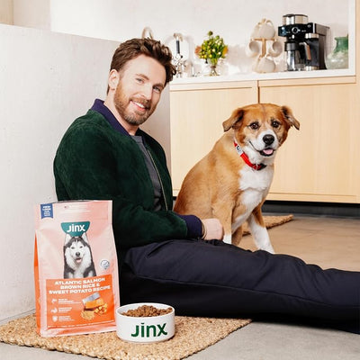 Jinx Chicken & Bacon Layers Jerky Dog Treats - Crunchy, All Natural Dog Jerky Treats with Cage-Free Chicken & Bacon - Pet Products for All Dogs (Puppies, Adults & Seniors) - 15oz