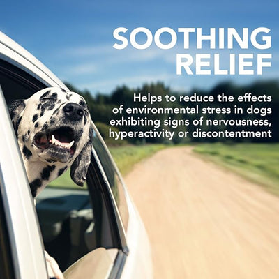 Vet's Best Comfort Calm Calming Soft Chews Dog Supplements - Dog Calming Aid Supports Dog Balances Behavior - Promotes Relaxation - 30 Day Supply