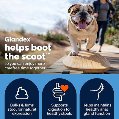 Vetnique Glandex Anal Gland Soft Chew Treats with Pumpkin for Dogs Digestive Enzymes, Probiotics Fiber Supplement for Dogs Boot The Scoot (Bacon Flavor Chews, 60 Count)