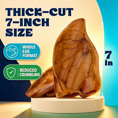 FETCHERONI Whole Pig Ears for Dogs - Single Ingredient Pig Ears Dental Chews for Dogs - Thick Cut Pet Chew Treats for Small or Large Breed, Teeth and Gums, No Added Hormones or Chemicals, Pack of 15