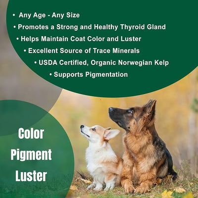 Dogzymes Organic Norwegian Kelp for Pets, a Valuable Nutrition Source Rich in Iodine to Support Gland Function, Especially The Thyroid (3 Pound)