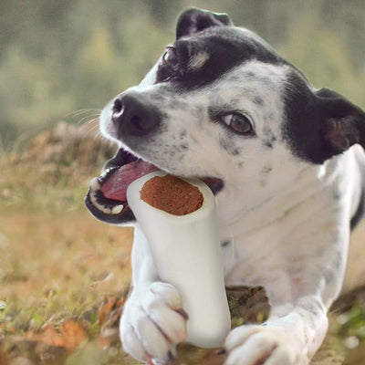 Cadet Stuffed Shin Bone for Dogs - Long-Lasting Chicken Flavored Dog Chew Bone for Aggressive Chewers - Supports Dog Dental Health, Large (1 Count) (Pack of 2)