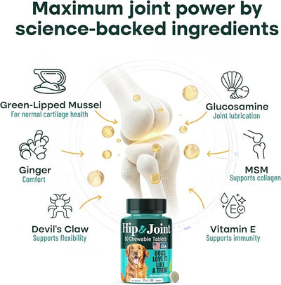 Hip & Joint Supplement for Dogs, 300mg Green-Lipped Mussel for Dog Arthritis Pain Relief, Glucosamine, MSM & Chondroitin, Zero Sugar, Large Medium Small Breeds, 50 Chewable Tablets