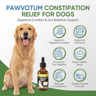 Constipation Relief Probiotics for Dogs – Natural Stool Softener & Digestive Aid, Gut Health Supplement, Gentle Elimination & Upset Stomach Soother, 2 Fl Oz