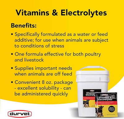 DURVET 136028 Vitamins & Electrolytes, 8 oz