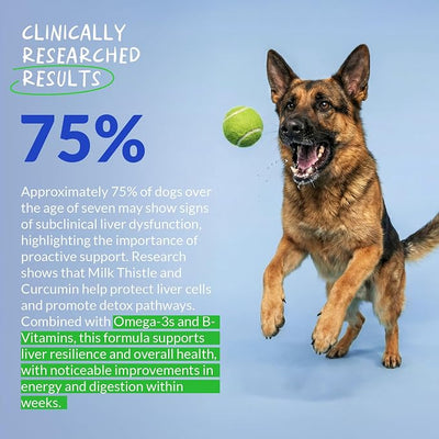 Milk Thistle for Dogs 90 Soft Chews - Liver, Kidney Detox & Hepatic | With Milk Thistle Silymarin, Choline & L-Arginine. Supports liver detox, kidney health & hepatic function with EPA & DHA.