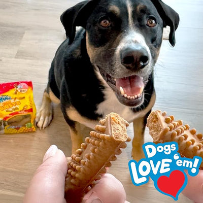 Nylabone Nubz Flavor Bursts Natural Dog Chews for Small Dogs, Long Lasting Chew Bones Made in the USA, Grain-Free Dog Treats, Bacon & Cheese Flavor, for Dogs Over 30 lbs. (20 Count)