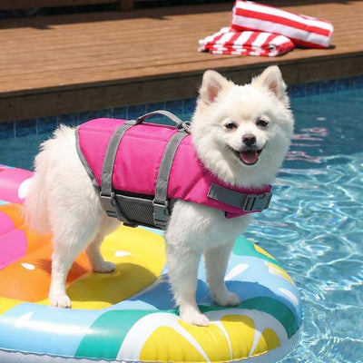 Doglay Dog Life Jacket with Rescue Handle, Dog Life Vest for Swimming Boating, Adjustable Reflective Puppy Swim Vest with Superior Buoyancy for Small Medium Large Dogs