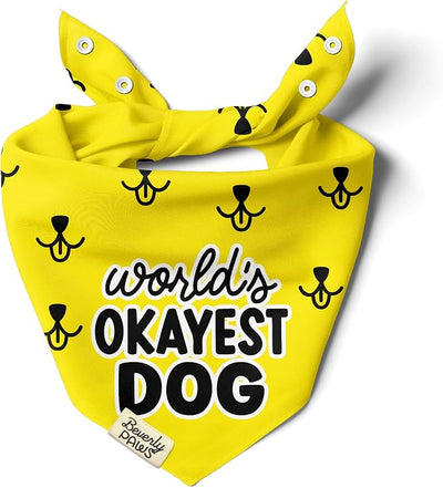 Funny Snap-On Dog Bandana for Small Medium Large Pets, Dogs Cats Adjustable Handkerchief Scarf for Girl & Boy, Cute Puppy Apparel & Accessories (World's Okayest Dog, Medium)