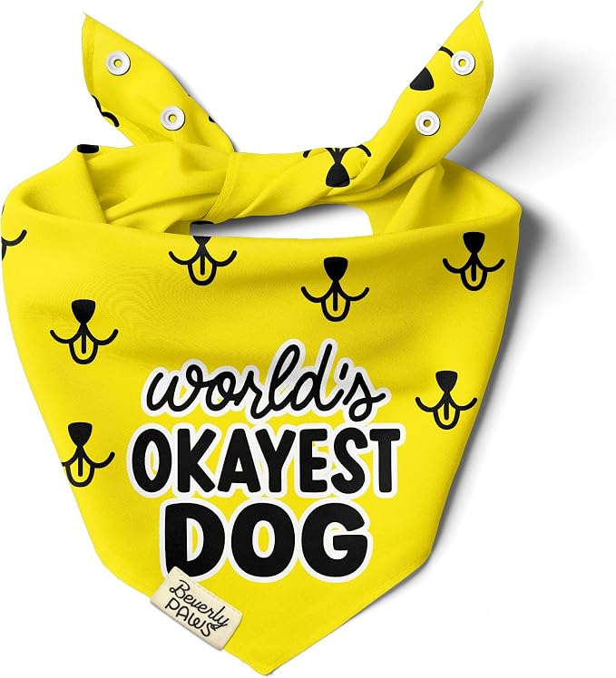 Funny Snap-On Dog Bandana for Small Medium Large Pets, Dogs Cats Adjustable Handkerchief Scarf for Girl & Boy, Cute Puppy Apparel & Accessories (World's Okayest Dog, Large)