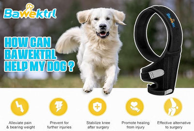 Dog Knee Brace for Back Leg,Cruciate Ligament Care Knee Brace for Dogs Rear Leg, Extral Support ACL Brace,Reduce Joint Pain and Muscle Sore for Hind Legs