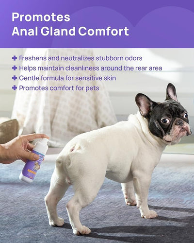 HICC PET Anal Gland Spray 4 oz, Freshens and Removes Odors, Maintains Cleanliness, Gentle Formula for Sensitive Skin