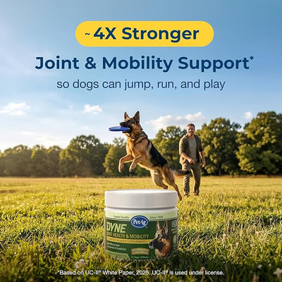 PetAg Dyne Soft Chews, Joint Health & Mobility Supplement - Vet-Formulated for Dogs - with UC-II® Collagen - Up to 4X More Effective Than Glucosamine/Chondroitin - 45 Chicken Liver Flavor Chews