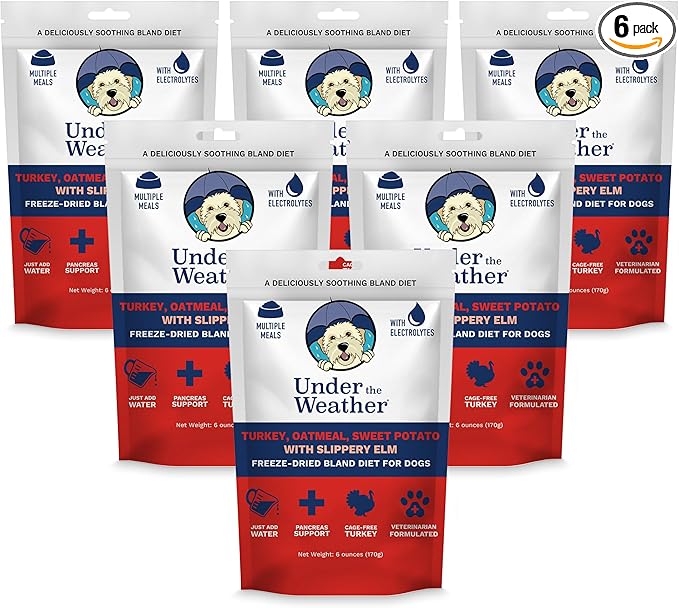 Bland Diet for Dogs | Easy to Digest Stomach Support for Sick Dogs | Contains Electrolytes, All Natural | 6 Pack - Turkey, Oatmeal, Sweet Potato & Slippery Elm - 6oz